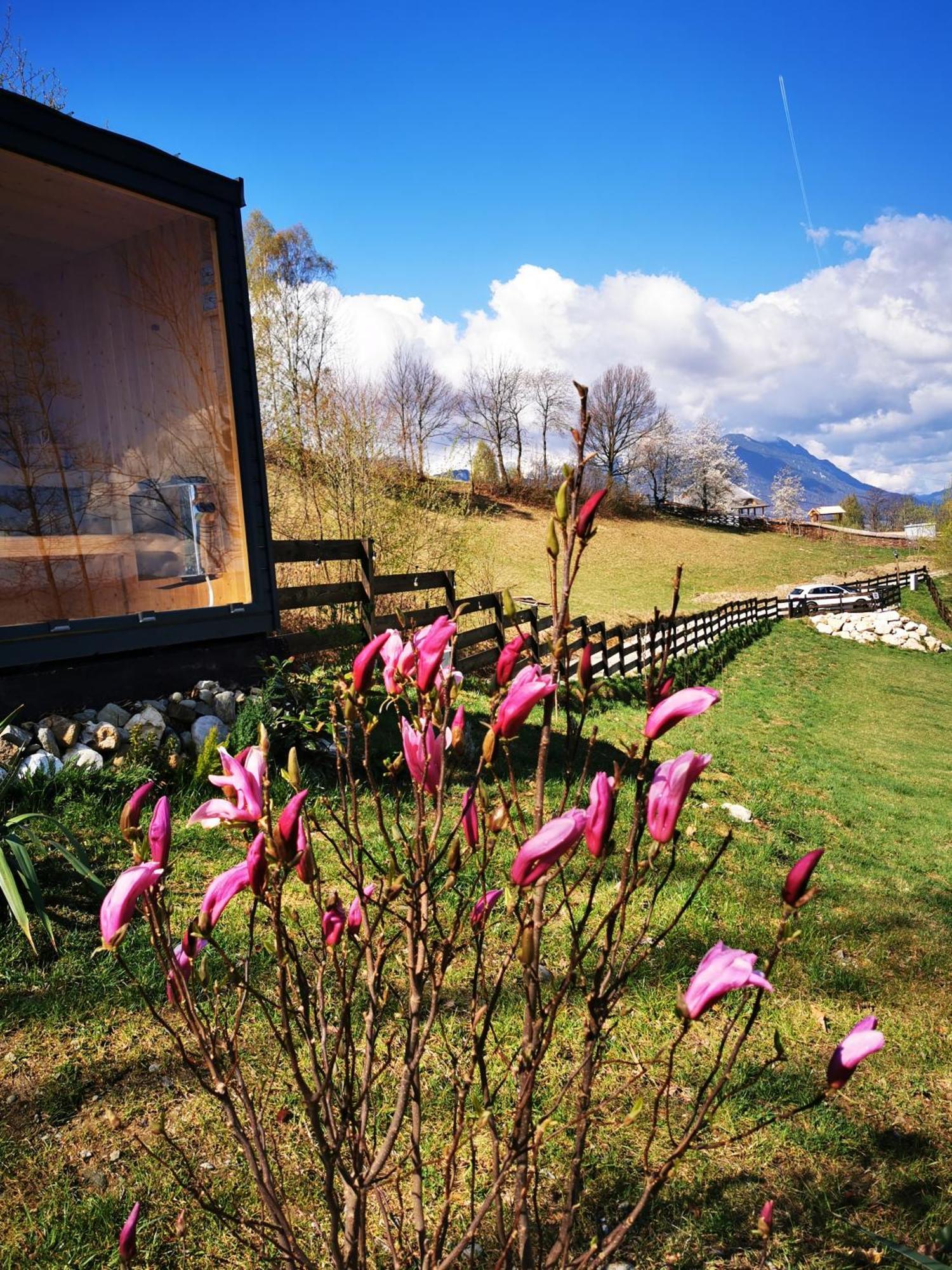 Doza De Verde Retreat&Spa Bran-Adults Only Sohodol  Kültér fotó