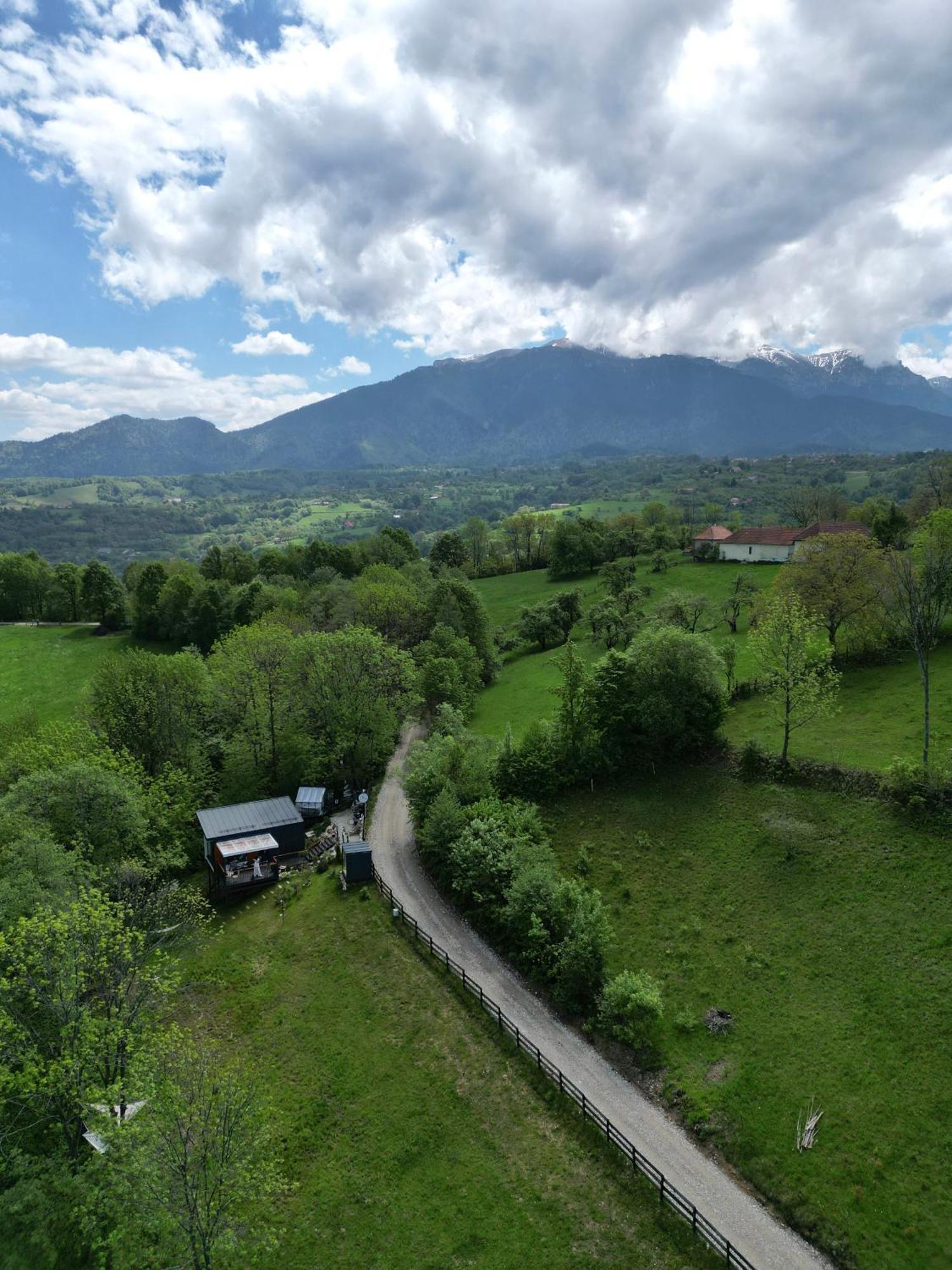 Doza De Verde Retreat&Spa Bran-Adults Only Sohodol  Kültér fotó